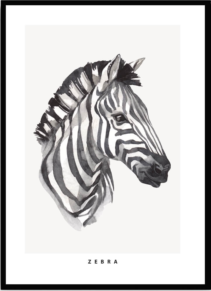 Poster Zebra - Dekortorget