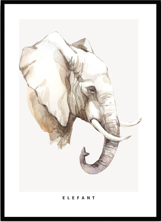 Poster Elefant - Dekortorget