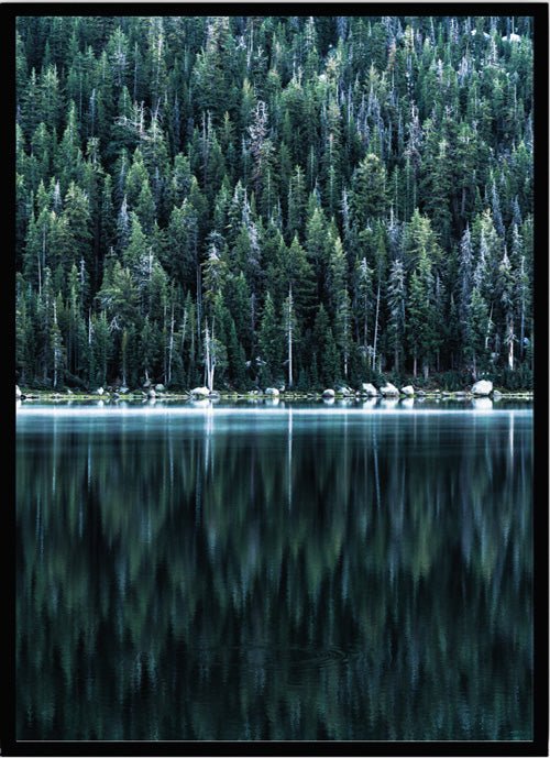 Poster trees and lake - Dekortorget