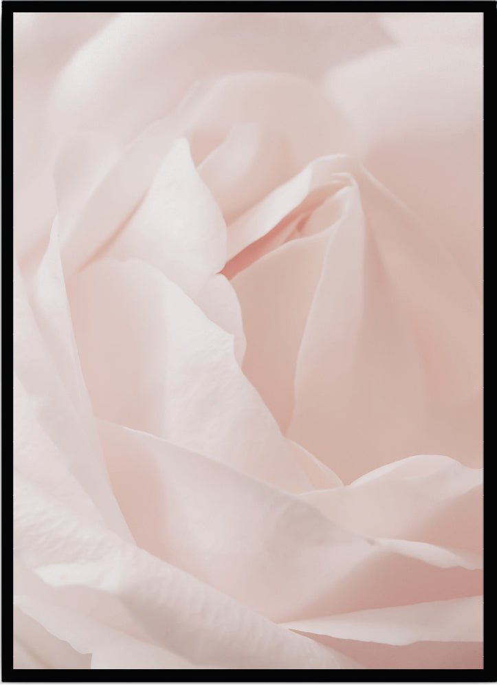 Poster Pink rose - Dekortorget