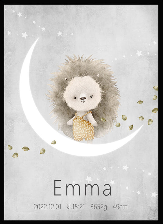 Namntavla Igelkott på månen - Dekortorget