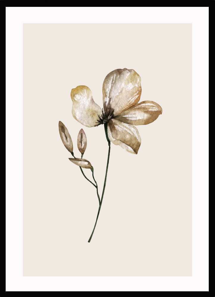 Poster Blomma beige