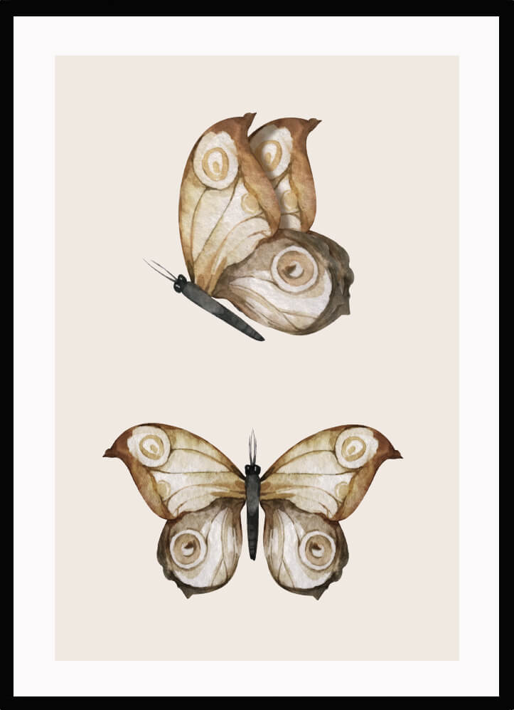 Poster Fjärilar