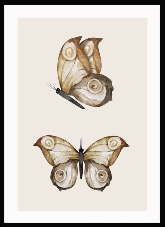 Poster Fjärilar - Dekortorget