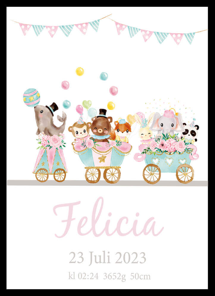 Namntavla Cirkuståg - Dekortorget