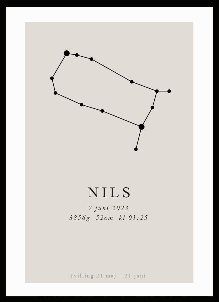 Namntavla Stjärntecken - tvillingarna - Dekortorget