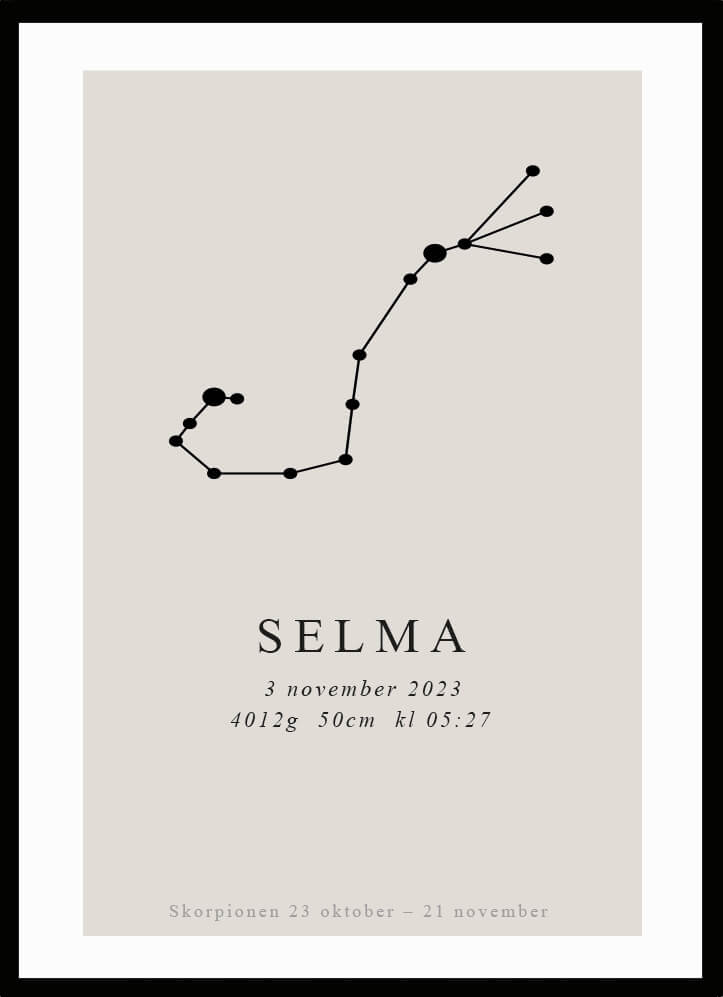 Namntavla Stjärntecken - skorpionen - Dekortorget