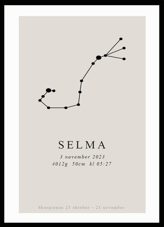 Namntavla Stjärntecken - skorpionen - Dekortorget