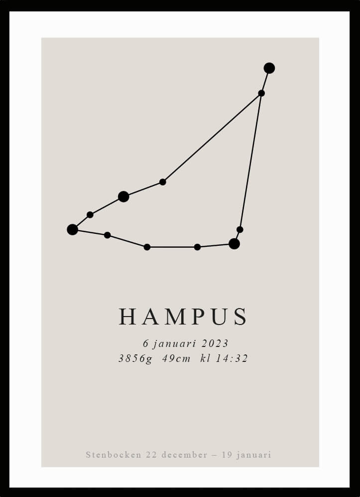 Namntavla Stjärntecken - stenbocken - Dekortorget