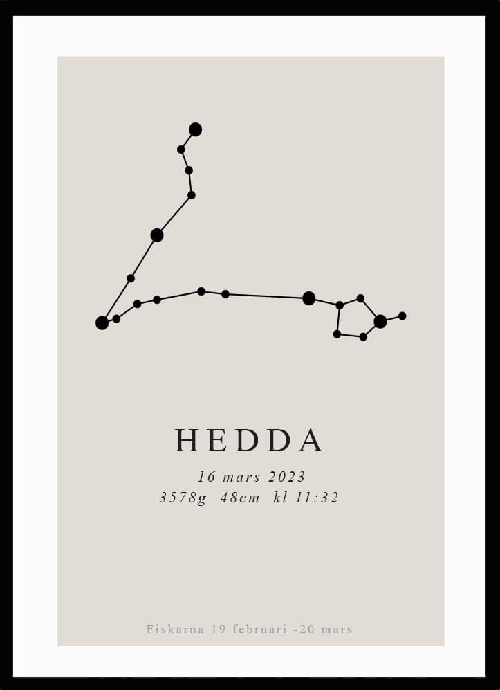Namntavla Stjärntecken - Fiskarna - Dekortorget