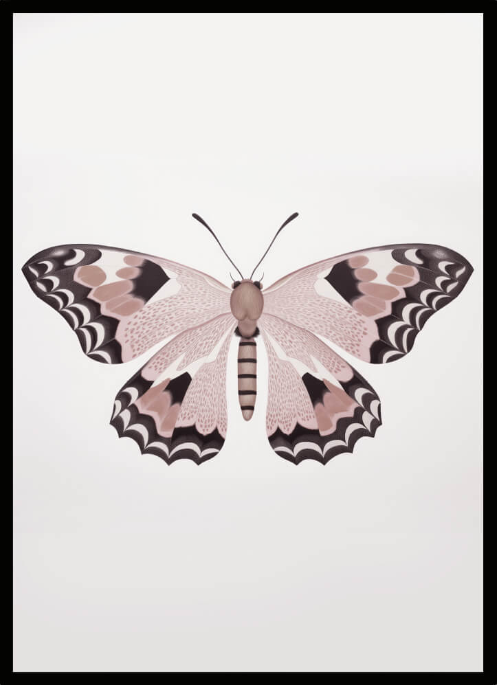 Poster fjäril rosa