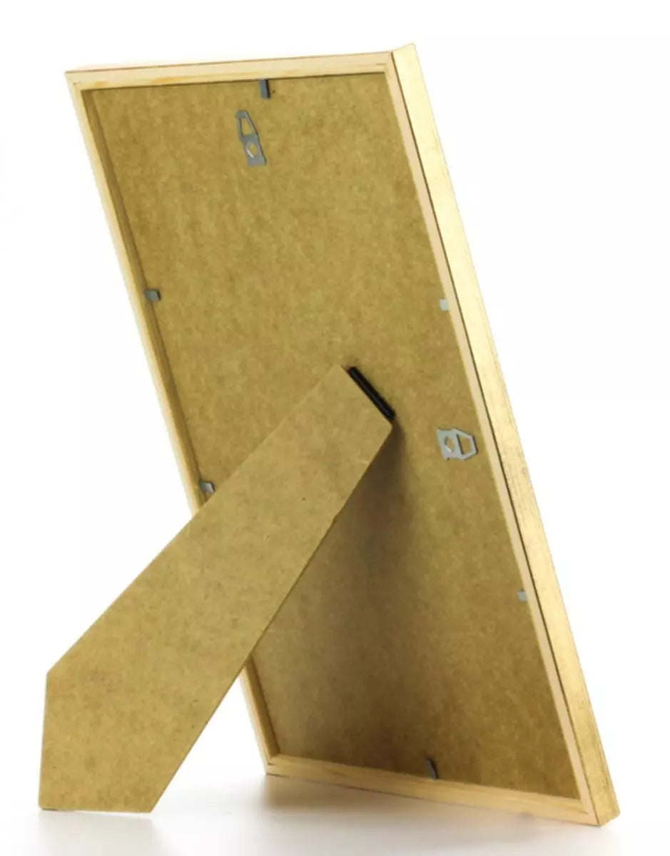 GALANT GULD med plexiglas 30x40cm