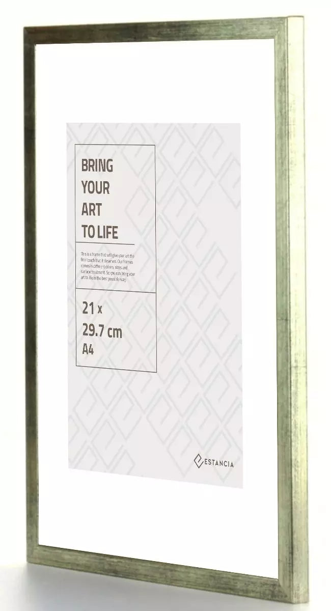 GALANT SILVER med plexiglas 30x40