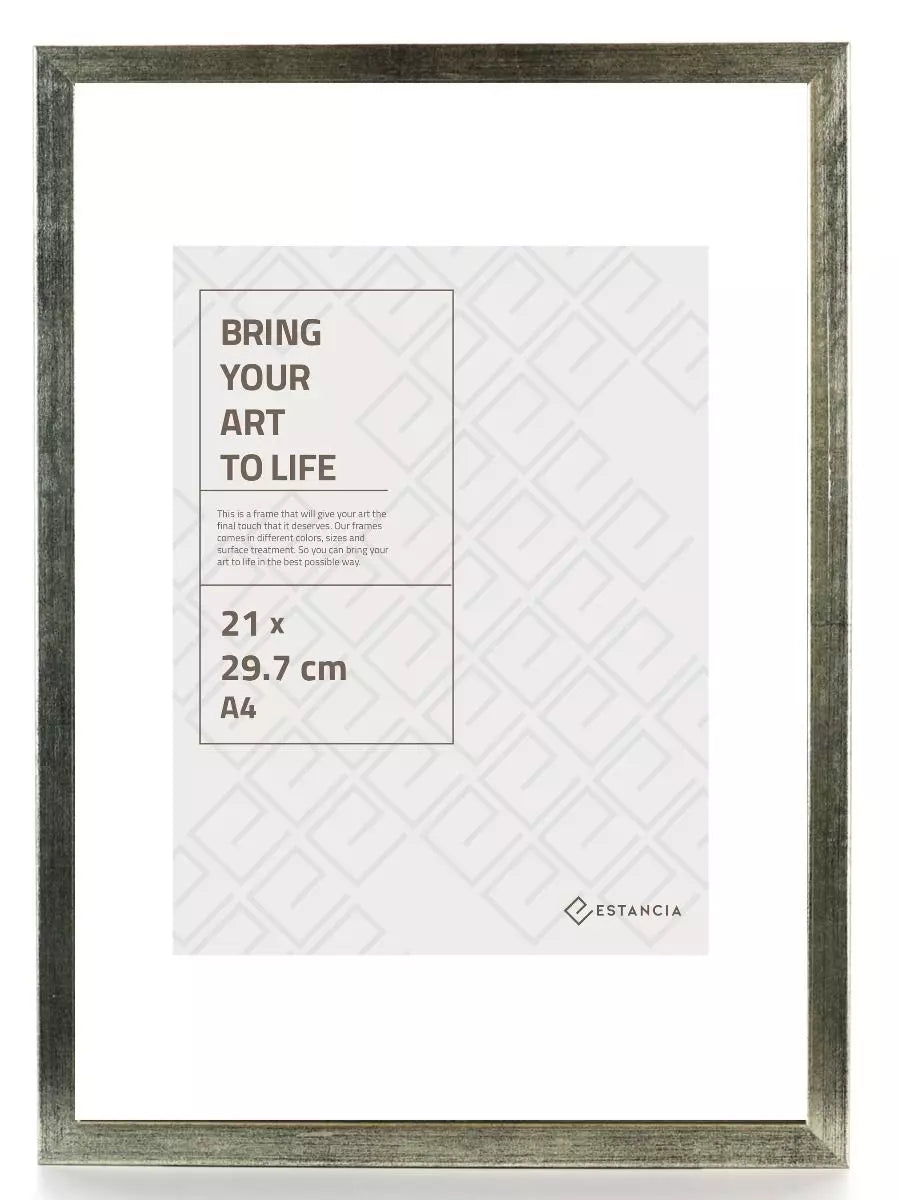 GALANT SILVER med plexiglas 30x40