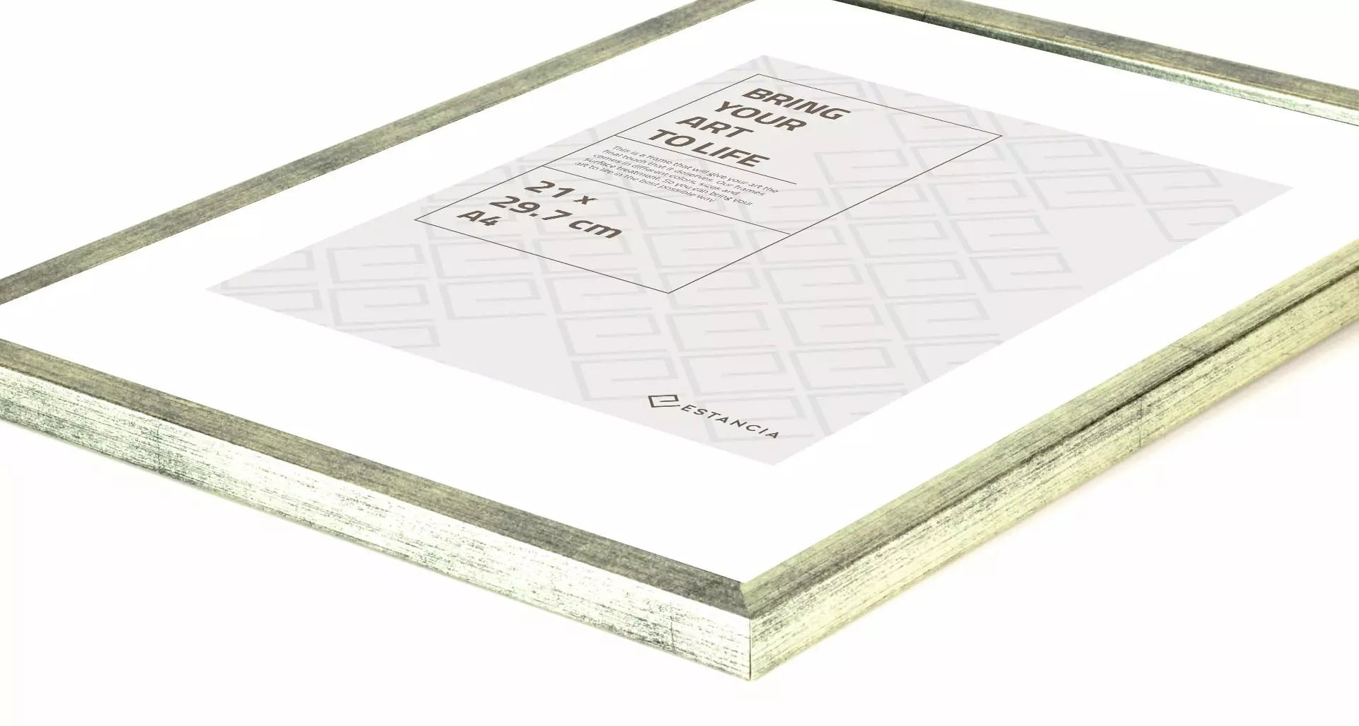 GALANT SILVER med plexiglas 30x40