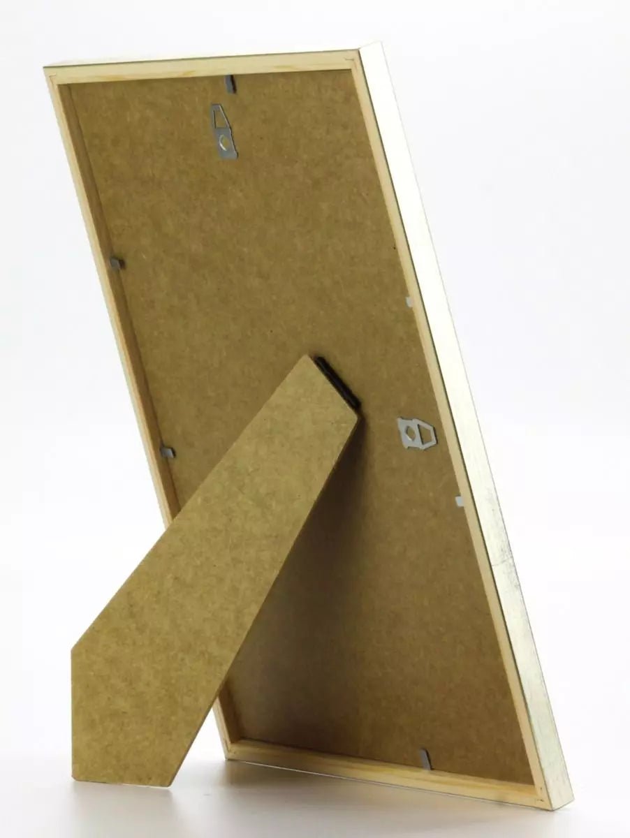 GALANT SILVER med plexiglas 30x40 - Dekortorget