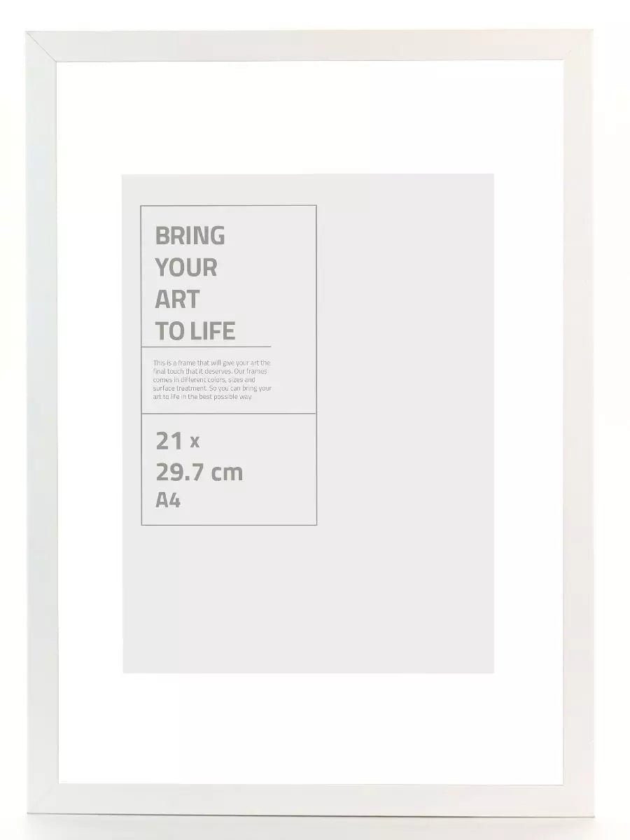 GALANT VIT med plexiglas 30x40 - Dekortorget