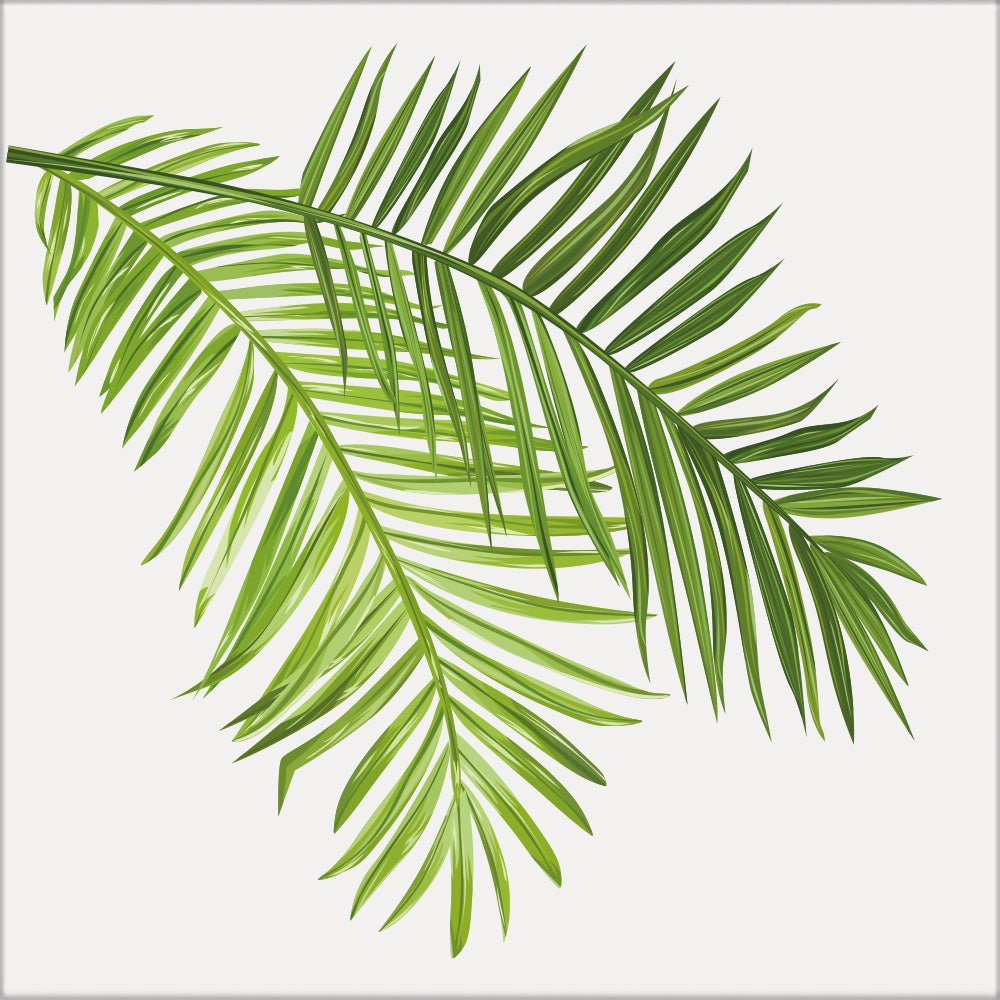Kakeldekor tropical blad - Dekortorget