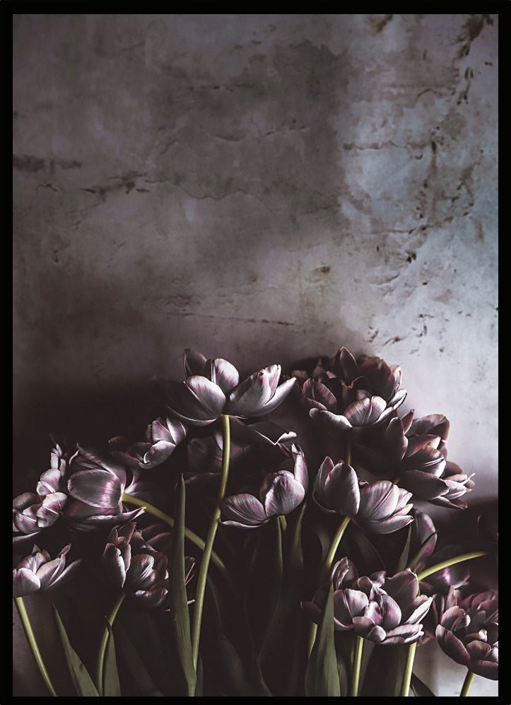 Poster Tulips